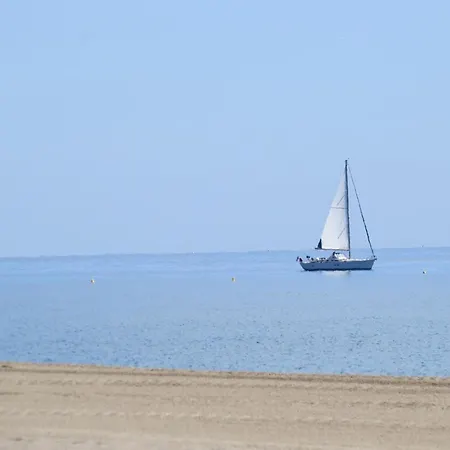Διαμέρισμα Rdc - Acces Direct Plage, Terrasse, Parking Prive, Animaux Acceptes - Fr-1-529-80 *